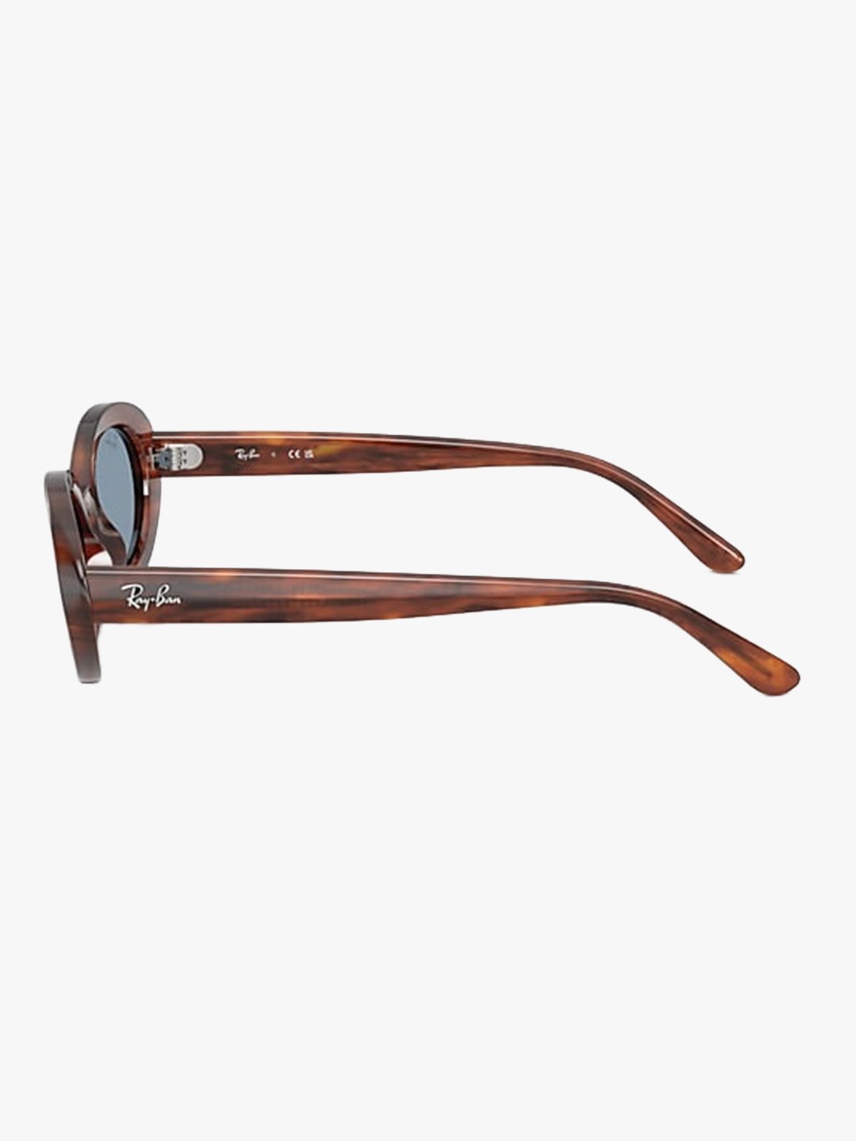 Ray-Ban 0RB2223 Brun