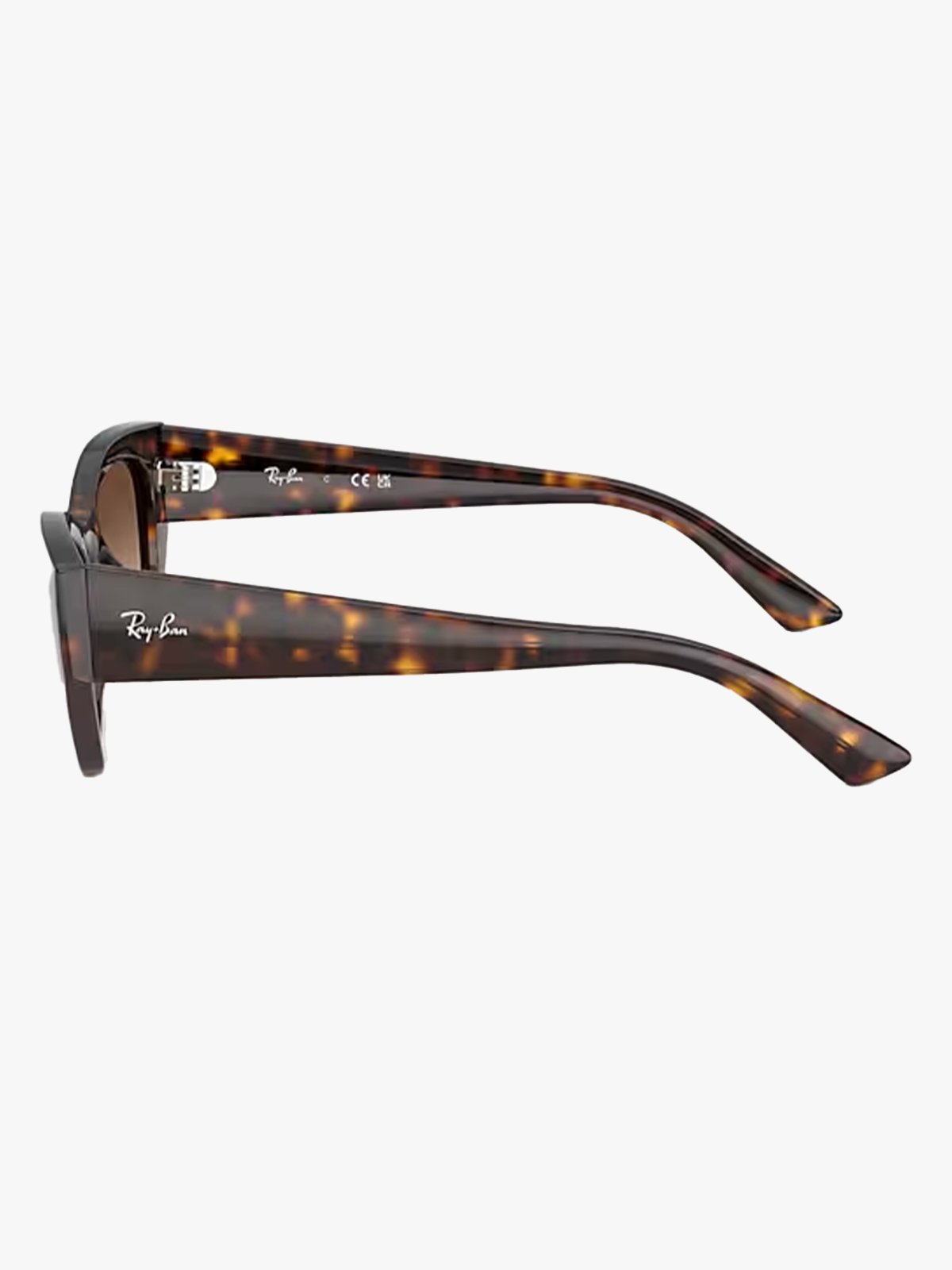 Ray-Ban Zena Ramme: Polished Havana / Linser: Gradient Brown