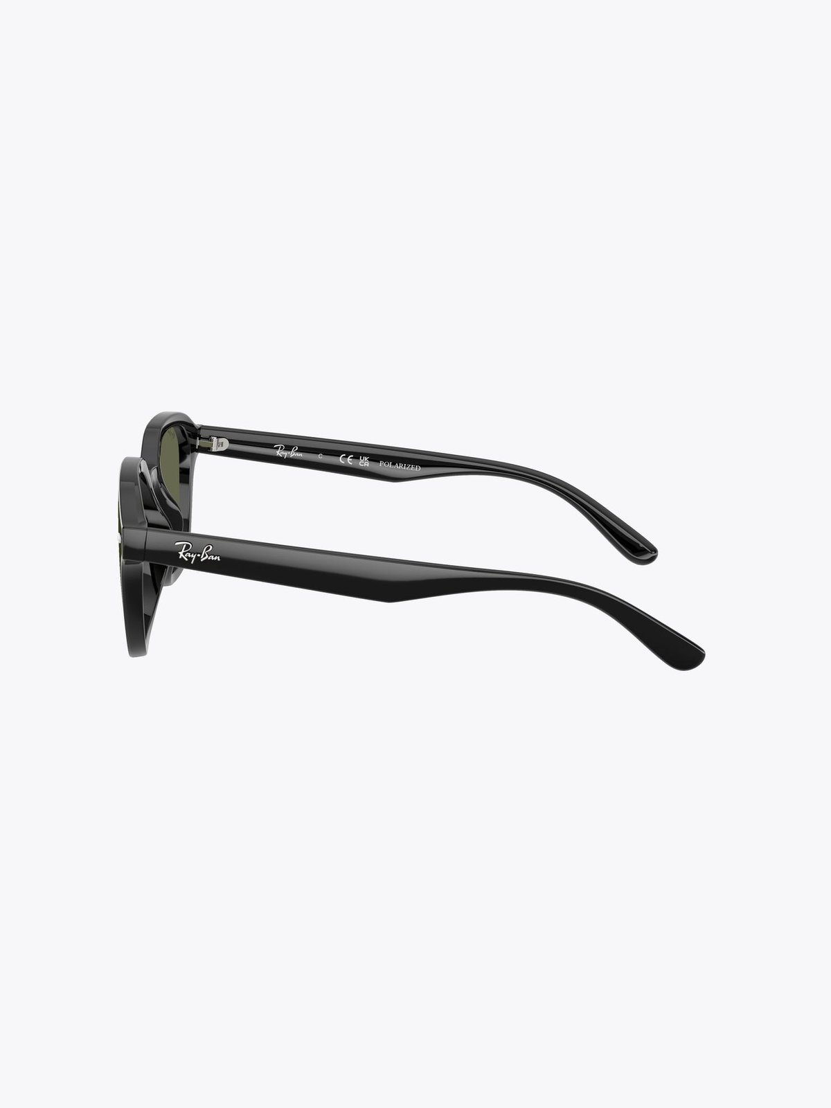 Ray-Ban 0RB4458D Grå