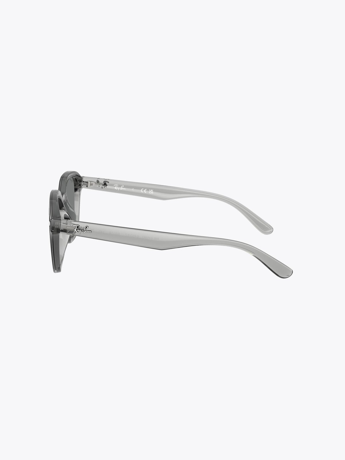 Ray-Ban 0RB4458D Grå