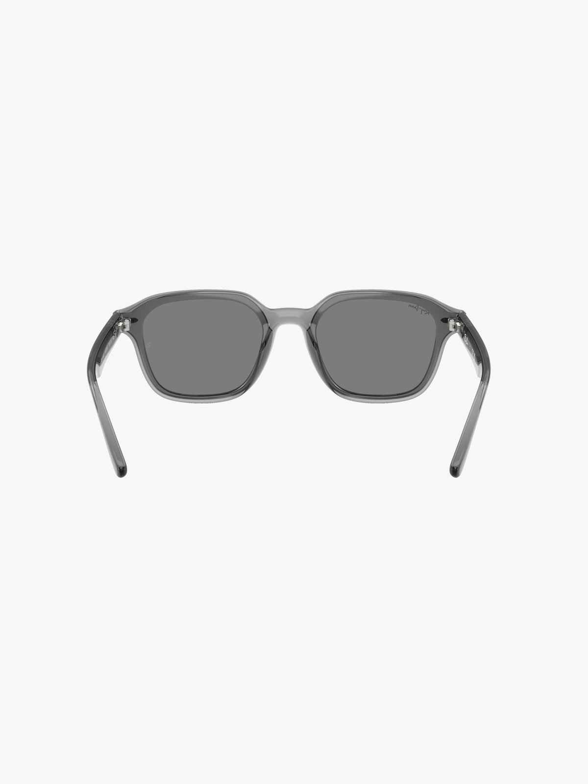 Ray-Ban 0RB4458D Grå