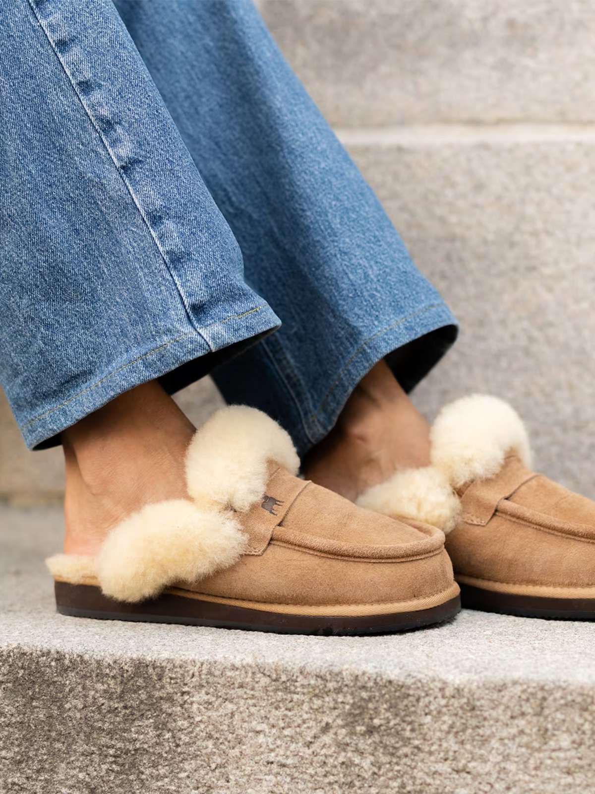 Shepherd Charlie Chestnut