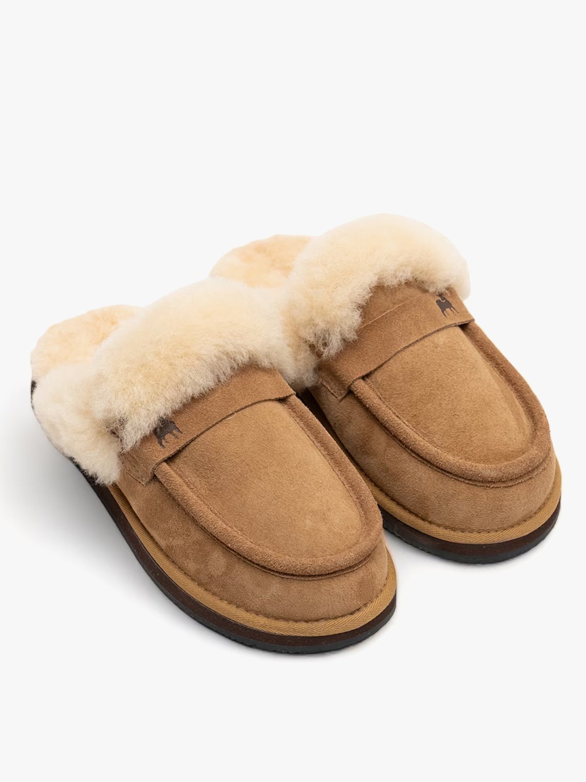 Shepherd Charlie Chestnut