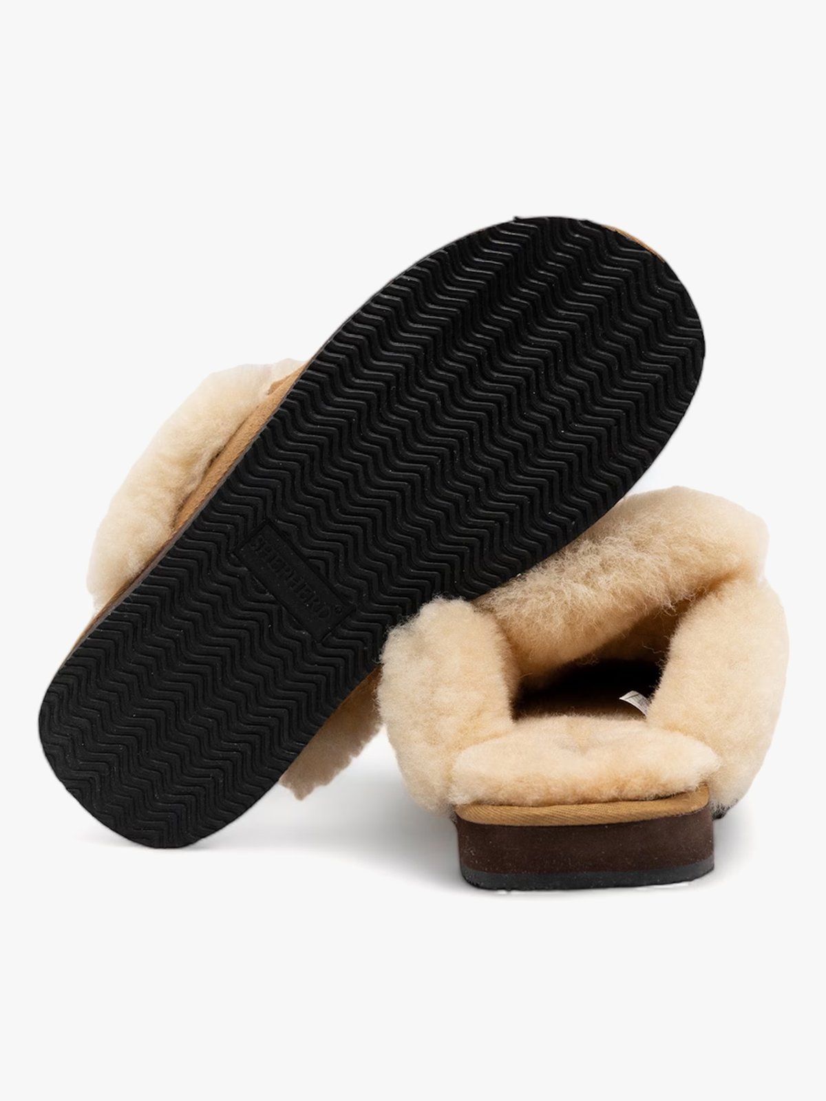 Shepherd Charlie Chestnut