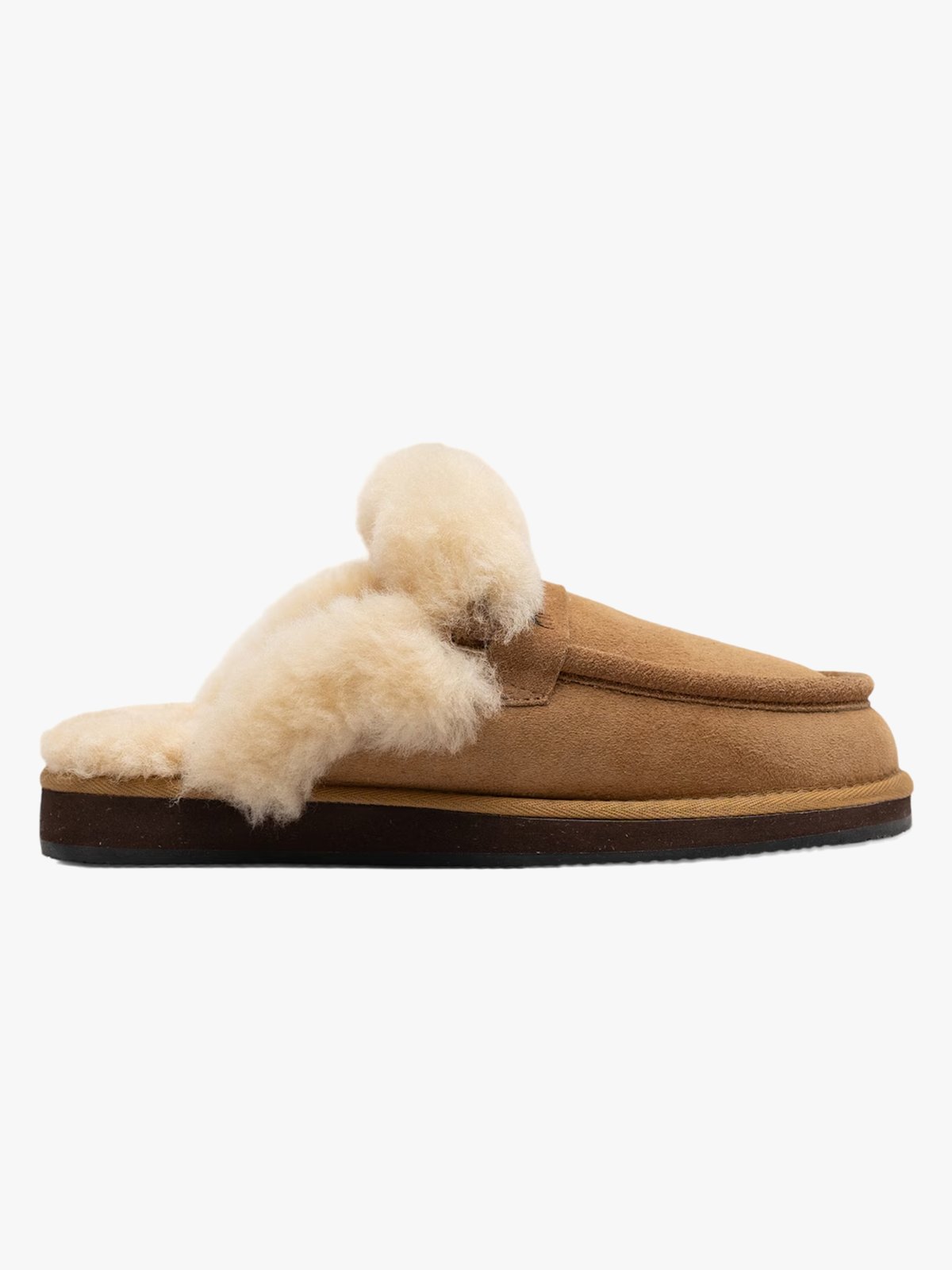 Shepherd Charlie Chestnut