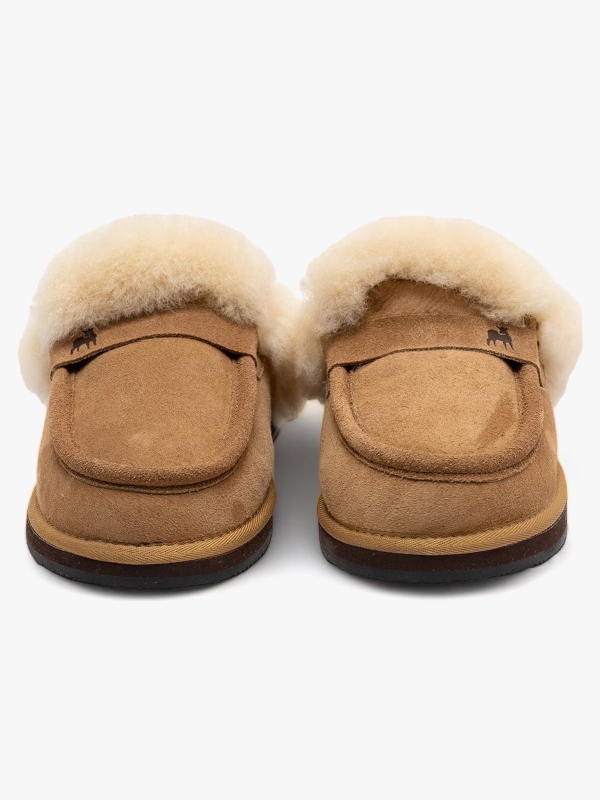 Shepherd Charlie Chestnut