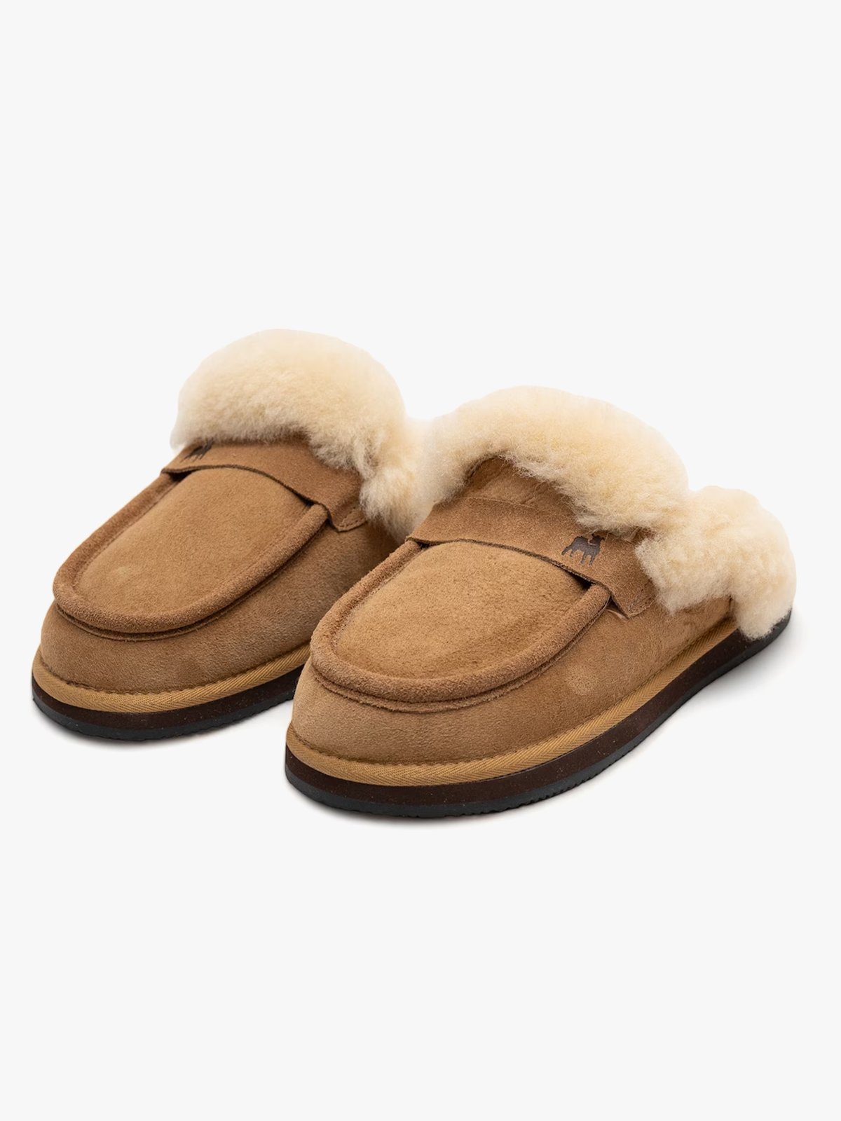 Shepherd Charlie Chestnut