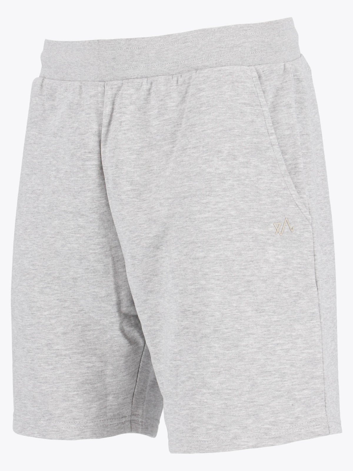 Twentyfour & Shorts Lys Grå