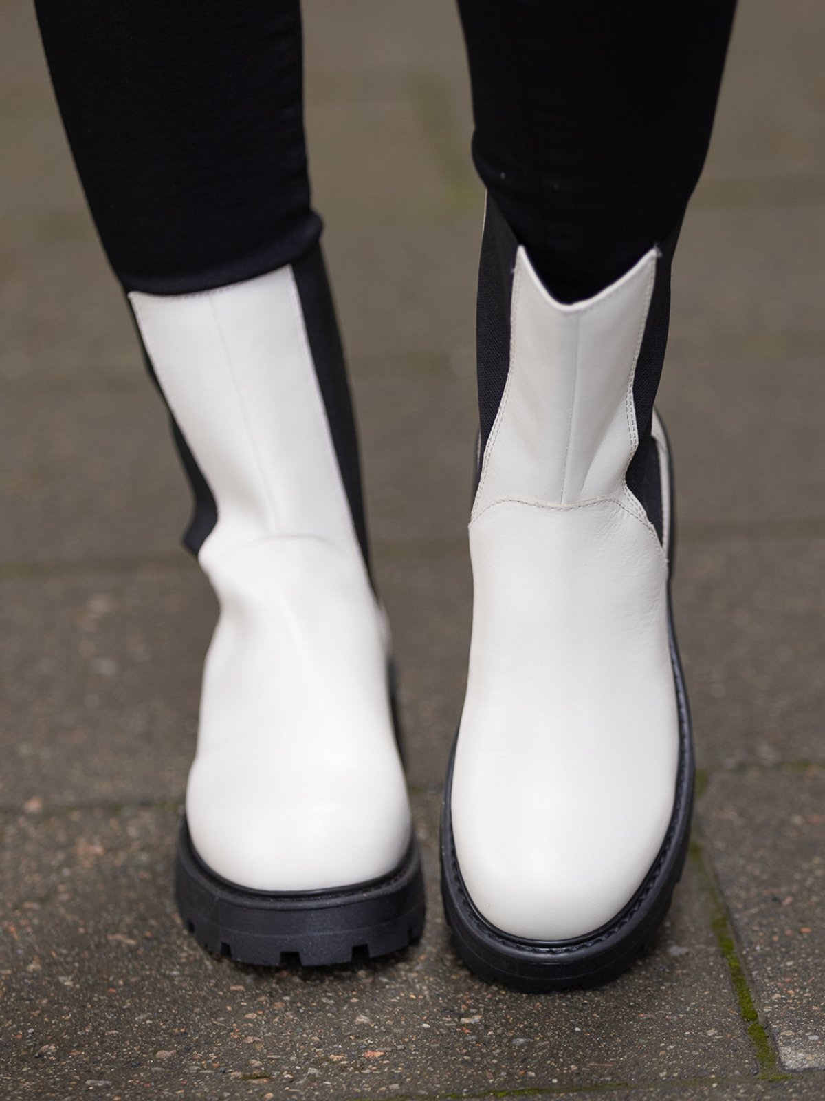 Vagabond Cosmo 2.0 White