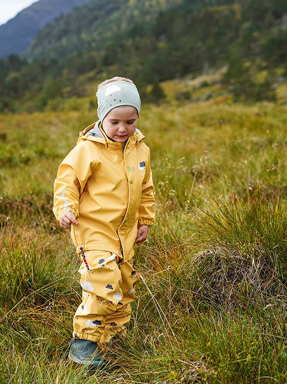 Kattnakken Plask Regnsett Vêret Korngul