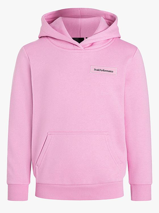 Peak Performance Jr Logo Hood Sweatshirt Morning Dew