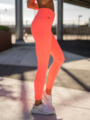 Balion Seamless Ribbed Tights Neon Peach