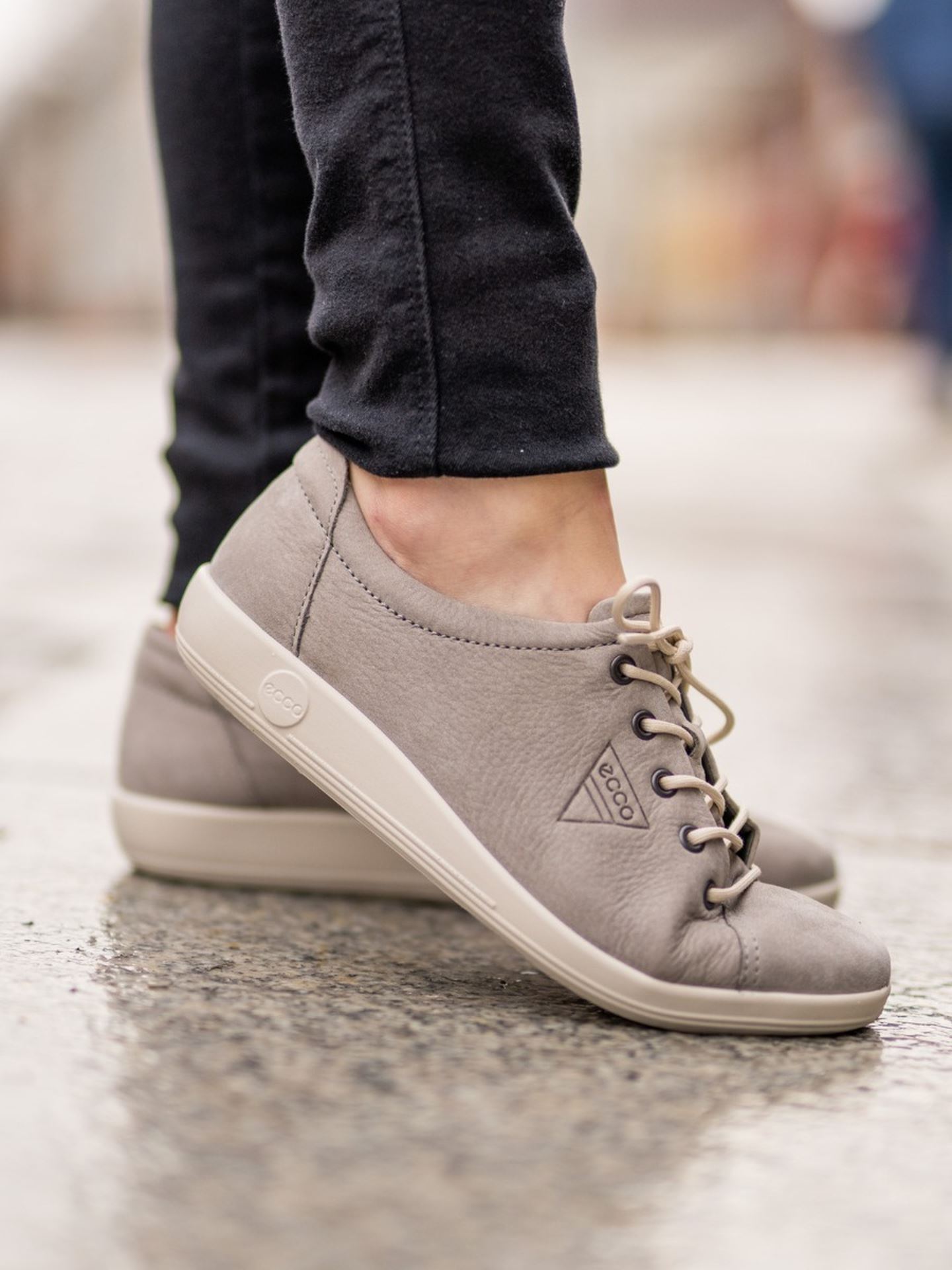 Ecco fenn tie online