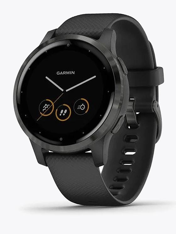 Garmin Vivoactive 4S Black with Slate Hardware