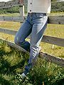 Replay New Luz Bootcut Medium Blue