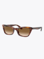 Ray-ban Lady Burbank Striped Havana / Clear Gradient / Brown Lenses