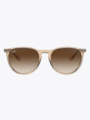 Ray-ban Erika Brun