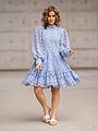 Selected Femme Silja Long Sleeve Embroidery Short Dress Blue Heron