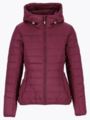 Twentyfour Mode Thermal Jakke Mørk Burgunder