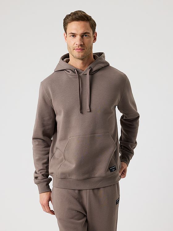 Björn Borg Centre Hoodie Falcon