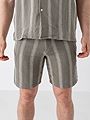 Selected Homme Reg Sal Shorts Vetiver Wide Stripes