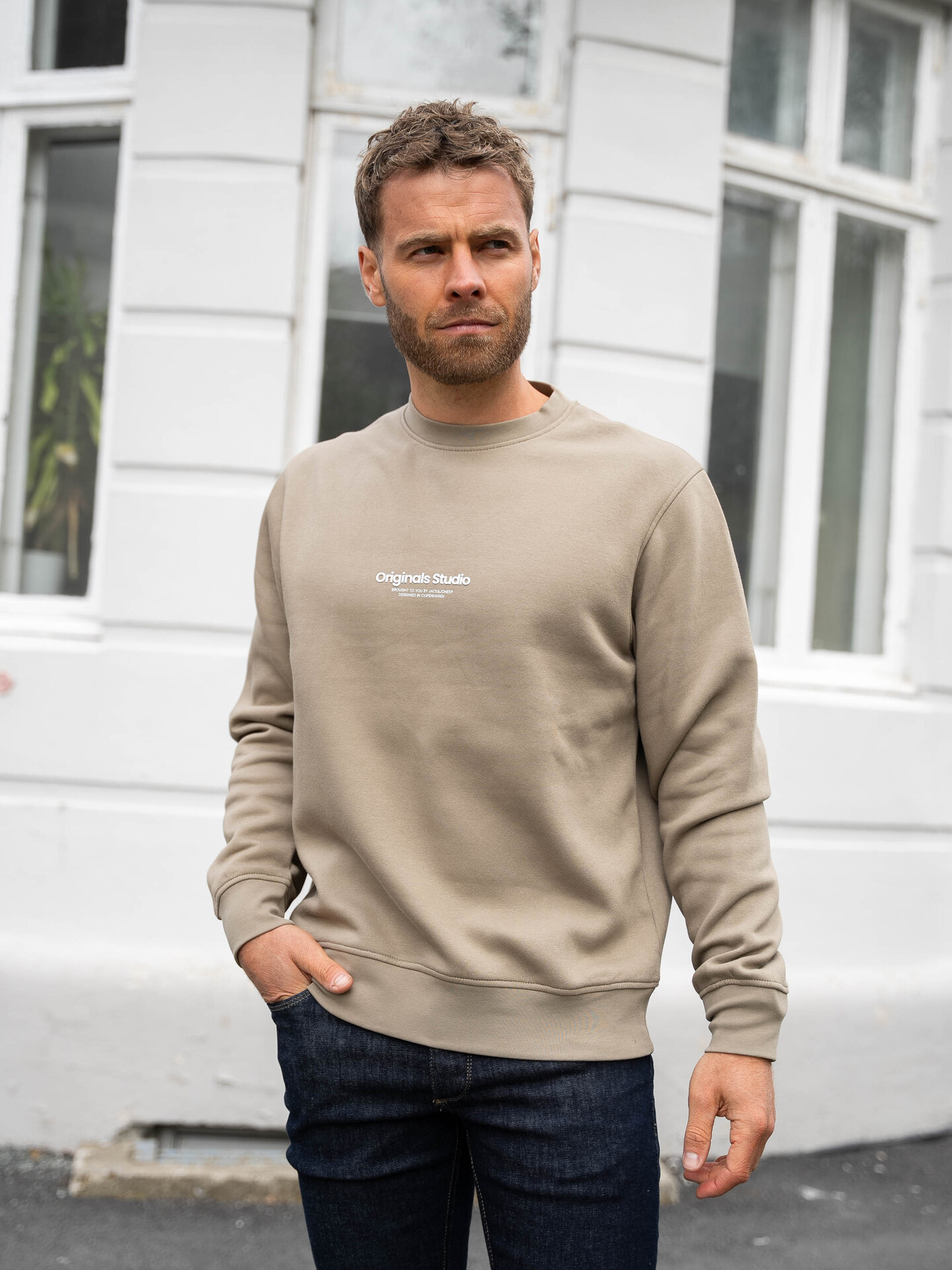 Jack and Jones Vesterbro Sweat Crew Neck Silver Sage