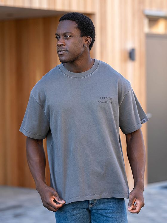 Only & Sons Aarav Life Short Sleeve Tee Grå