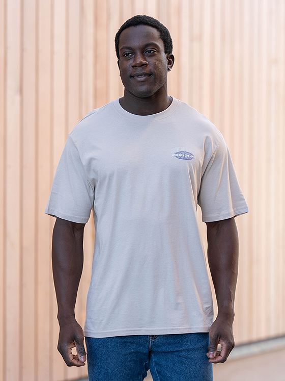 Only & Sons Keane Relaxed Short Sleeve Print Tee Silver Lining Influence