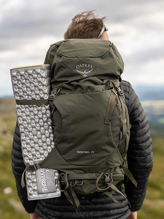 Osprey Kestrel 48L Picholine Green