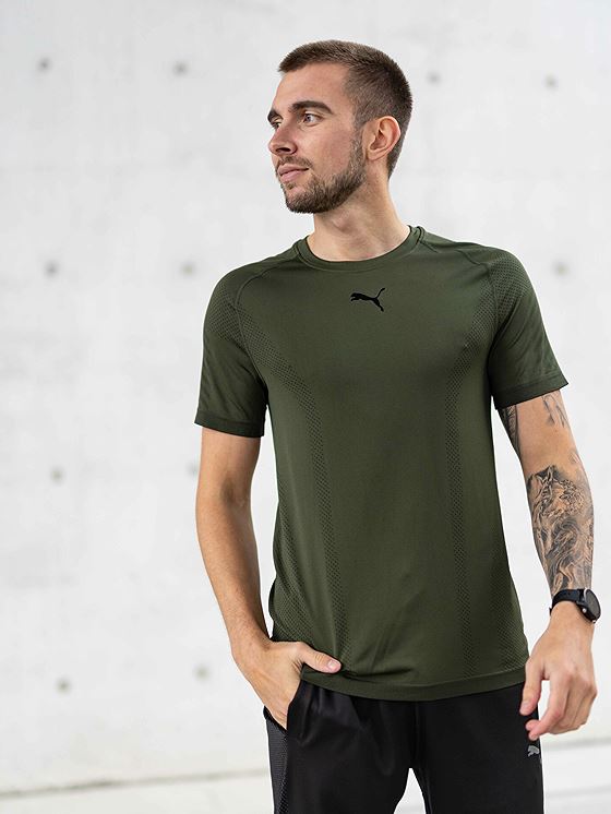 Puma Train Formknit Seamless Tee Myrtle