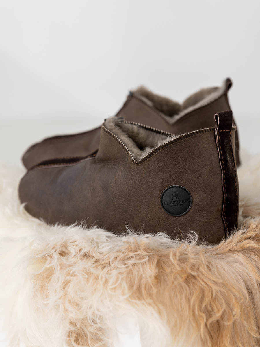 Shepherd Henrik Chestnut