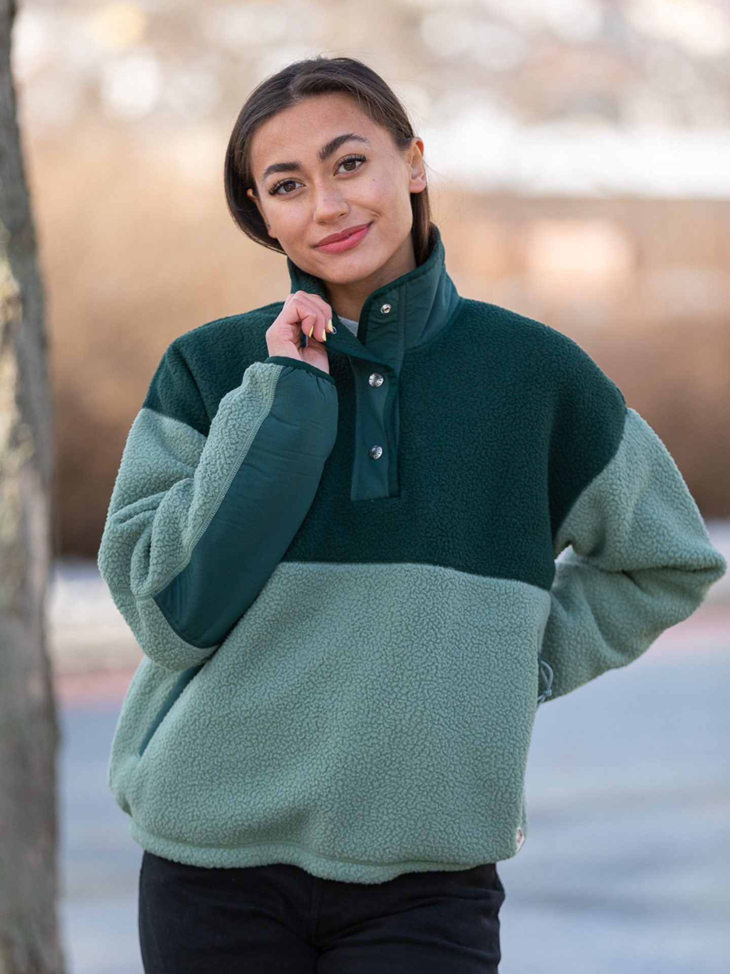 north face cragmont fleece green