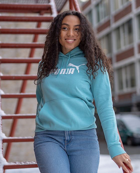 Puma Essentials Logo Hoodie Fleece Porcelain