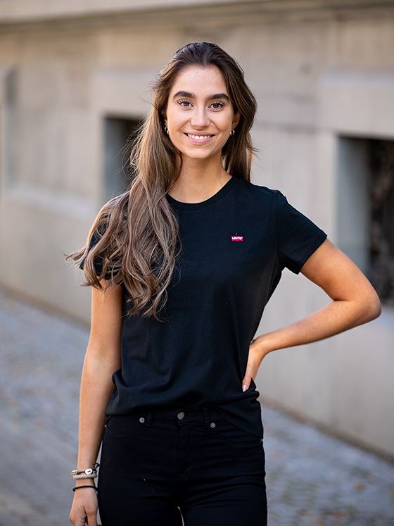 Levis Levis Perfect Tee