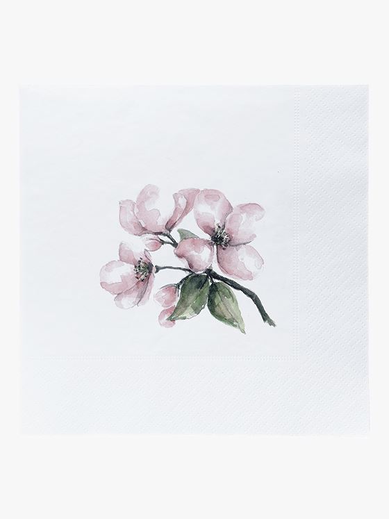 Sögne Serviett Epleblomst Hvit