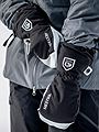 Hestra Army Leather Heli Ski Mitt Black