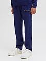 Jack and Jones Junior Kane Norrebro Sweat Pants Blå