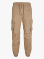 Jack and Jones Kane Noah Cuffed Cargo Elmwood