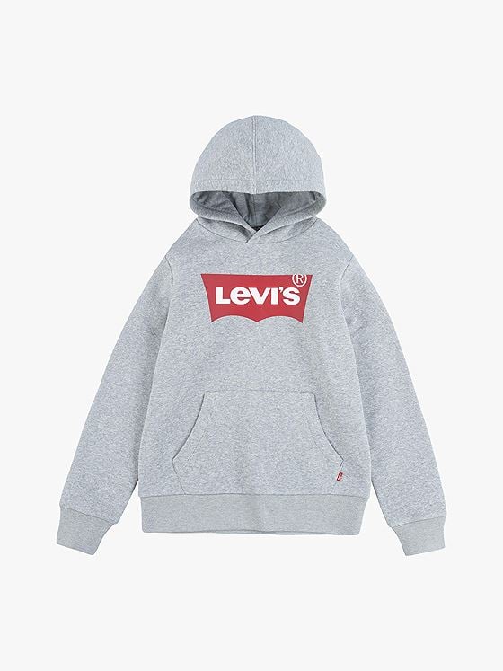 Levi-s Kids Batwing Screenprint Hoodie Grey Melange