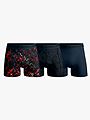 Muchachomalo Palm birds 3pk boxer Print/Print/Solid