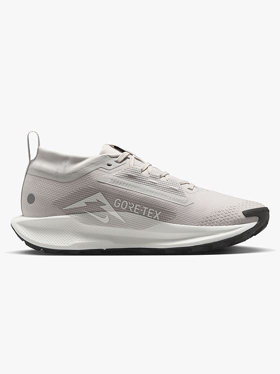 Nike Pegasus Trail 5 GTX Grå