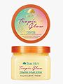 Tree Hut Firming Shea Sugar Scrub Tropic Glow 510 gram Flerfarget