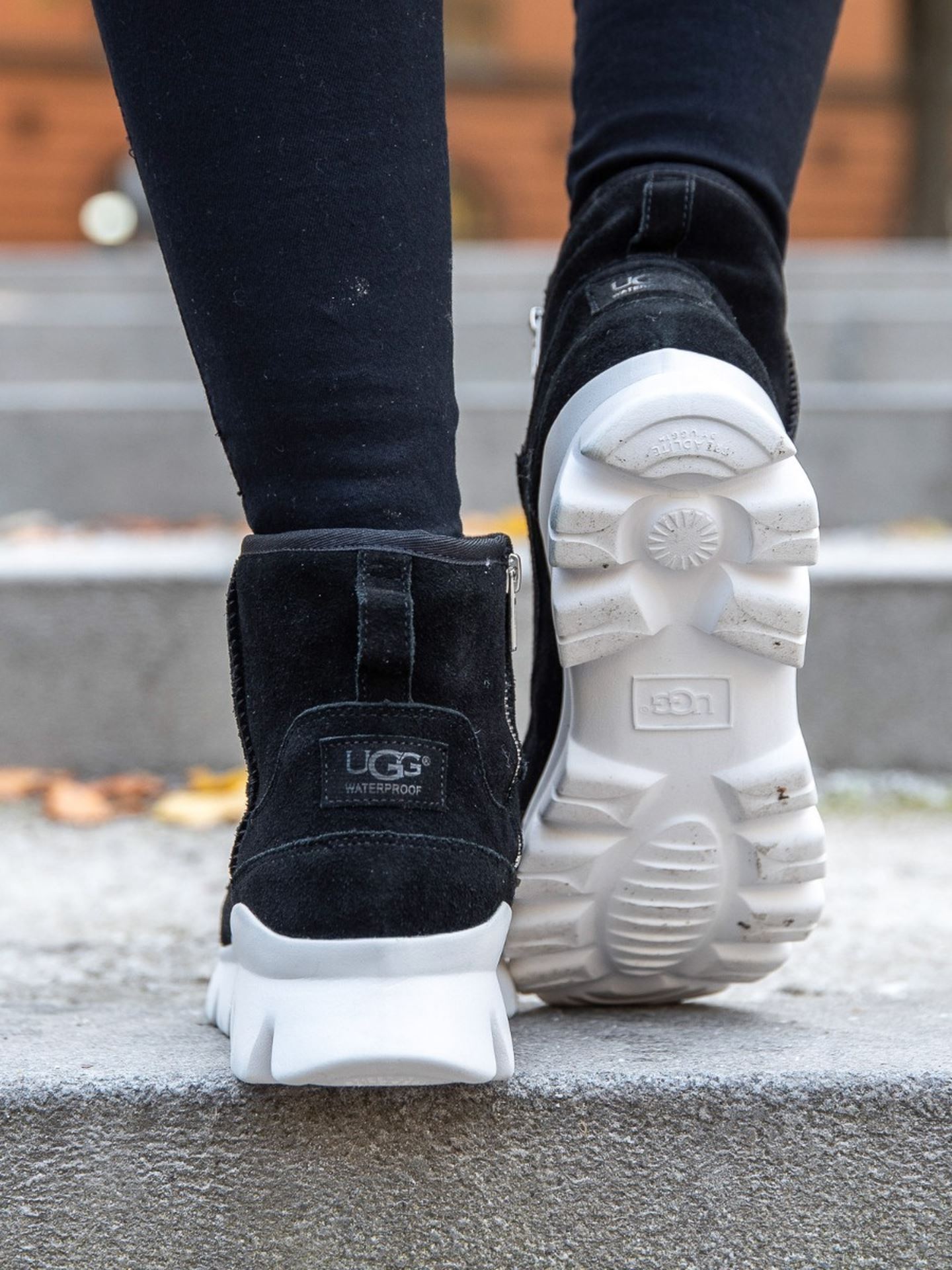 Ugg palomar sneaker hotsell